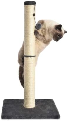 Arbre à Chat Standard avec Jouet Suspendu, Gris, 80 cm