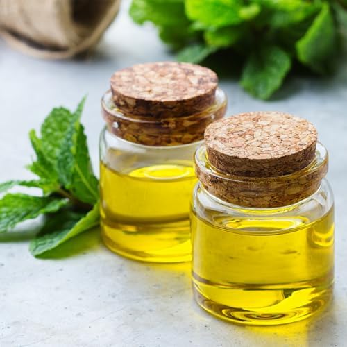 Bouteille en Verre 50ml Petit Pot, Transparent avec Bouchons en Liège, Lot de 15