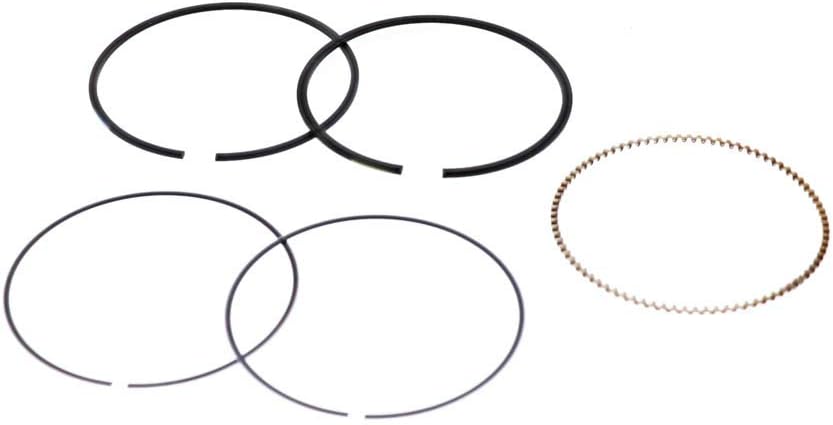 Bague de Remplacement - Briggs & Stratton - Compatible avec Tondeuses