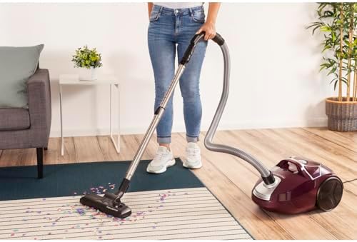 Rowenta Aspirateur Compact Power RO3969EA, 900W, Haute Filtration, 3L, Aubergine