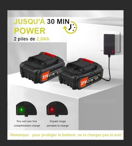 Coupe Bordure Léger 21V, Debroussailleuse Electrique sans Fil, 2 Batteries 2,0 Ah