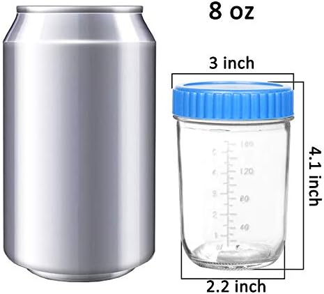 Lot de 8 Petits Pots en Verre 250ML, Hermétiques et Multicolores
