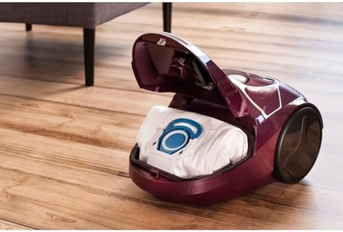 Rowenta Aspirateur Compact Power RO3969EA, 900W, Haute Filtration, 3L, Aubergine