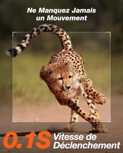 Caméra Solaire 4K 48MP, Vision Nocturne, Étanche IP66