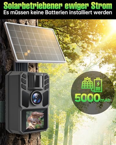 Caméra Solaire 4K 64MP pour Chasse, Vision Nocturne, Batterie 5000mAh