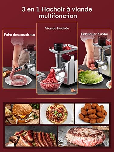 HOUSNAT Hachoir à Viande Électrique, 1500W Max, 3 en 1, Acier Inoxydable, Argent/Noir