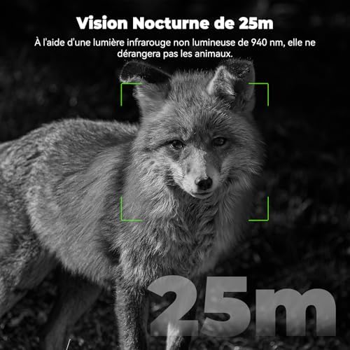 Caméra de Chasse Solaire 4G LTE, Vision Nocturne Infrarouge, 8000mAh