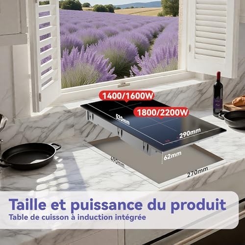 Plaque Induction 2 Feux Encastrable, 2990W, Noir, Commande Tactile