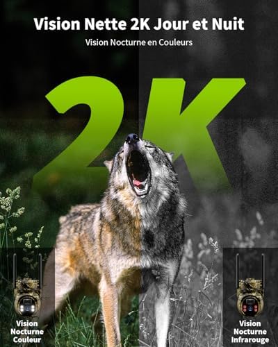 Caméra de Chasse Solaire 4G LTE, Vision Nocturne Colorée, Camouflage