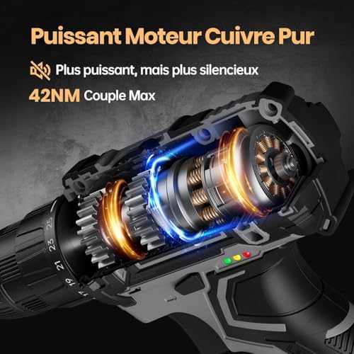 VIWKO Perceuse Visseuse Sans Fil 20V, 2 Batteries 2000mAh, 42Nm, 89 Accessoires