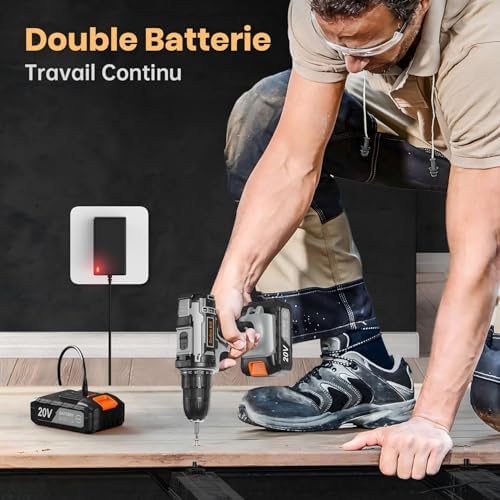 VIWKO Perceuse Visseuse Sans Fil 20V, 2 Batteries 2000mAh, 42Nm, 89 Accessoires