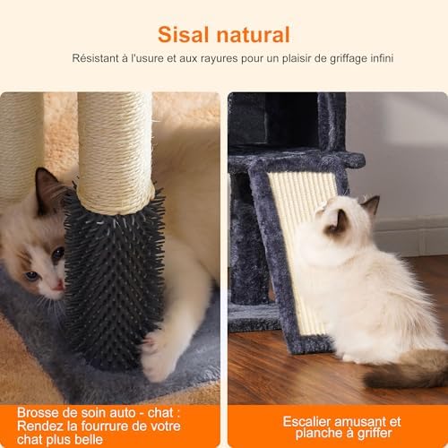 Arbre à Chat Robuste avec Brosse de Nettoyage, Gris Foncé, 80cm