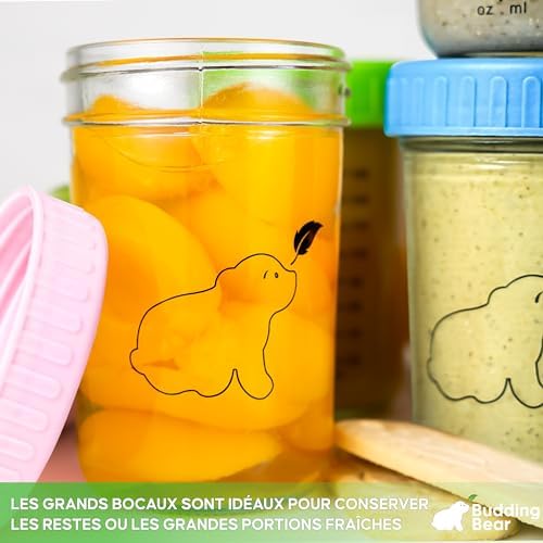 Pots de Conservation en Verre 240ml, Petit Pot en Verre Réutilisable, Lot de 6, Sans BPA