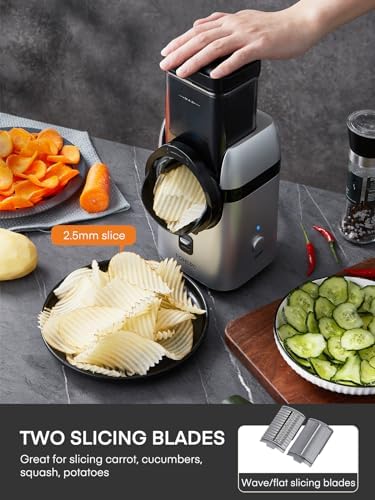 FOHERE Râpe à Légumes Électrique 5 en 1, 80W, Lames Interchangeables, Argent
