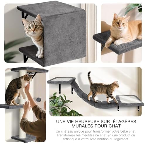 Arbre à Chat Mural avec Griffoir, Ensemble d'Escalade Stable, Gris