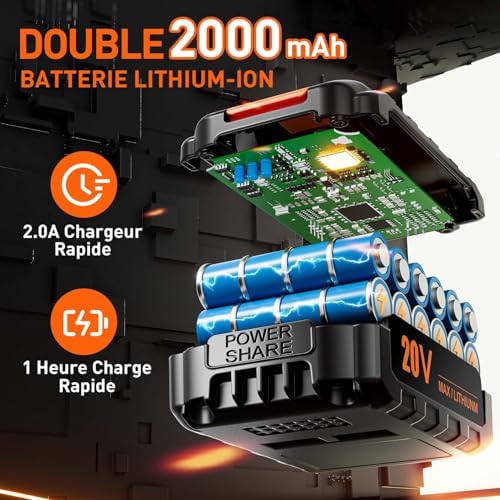 FAHEFANA Perceuse Visseuse Sans Fil 20V, 42Nm, 2 Batteries 2.0Ah, 24 Accessoires