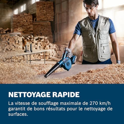 Bosch Professional Souffleur de Feuilles Sans-Fil GBL 18V-120, 270 km/h, 120 m³/h