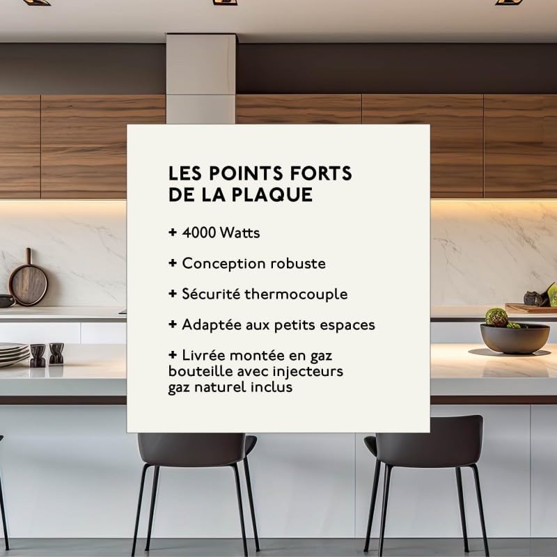 Plaque Induction 2 Feux, Verre Noir, Puissance 4000W, Gaz Naturel