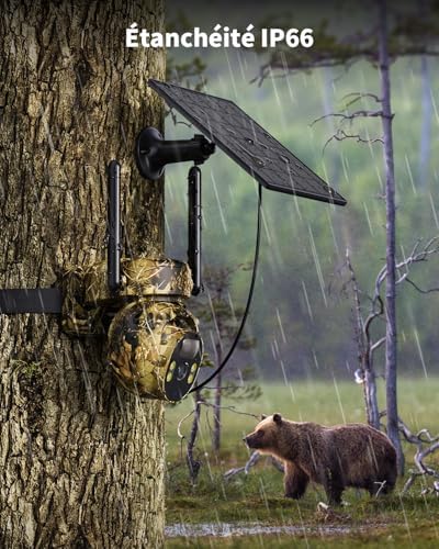 Caméra de Chasse Solaire 4G LTE, Vision Nocturne Colorée, Camouflage