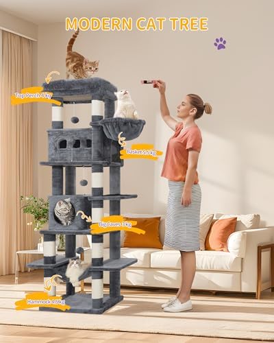 Grand Arbre à Chat 170 cm, Tour à Chat avec Griffoirs et Hamac, Gris Foncé