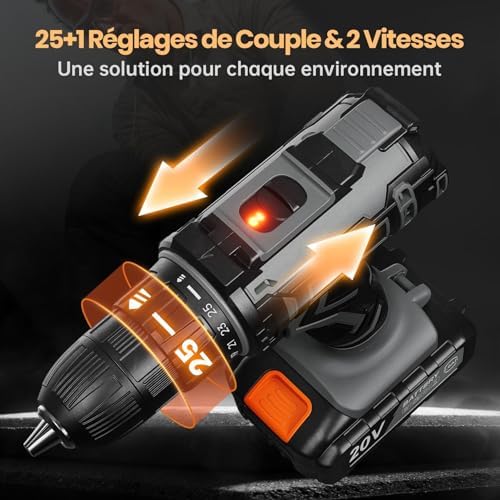 VIWKO Perceuse Visseuse Sans Fil 20V, 2 Batteries 2000mAh, 42Nm, 89 Accessoires