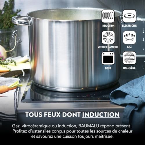 Baumalu Couscoussier Induction, Acier Inox, Ø24cm, 9L, Couvercle Verre