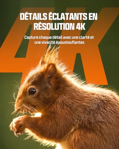 Caméra de Chasse Solaire 4K 60MP, Vision Nocturne, Étanche IP66