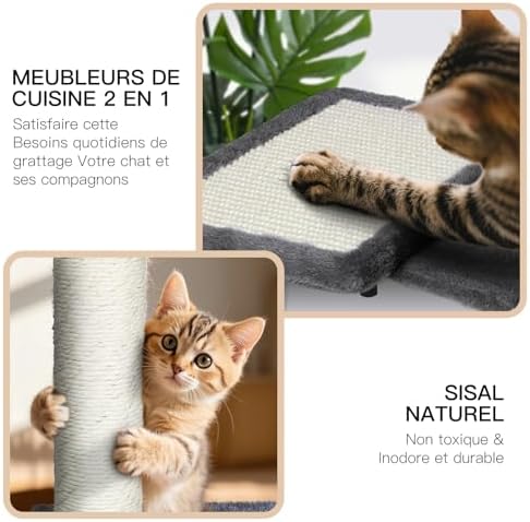 Arbre à Chat Mural avec Griffoir, Ensemble d'Escalade Stable, Gris