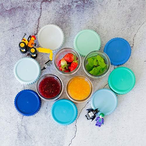 Lot de 8 Petits Pots en Verre 250ML, Hermétiques et Multicolores