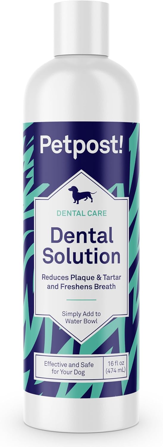 Solution Dentaire pour Chiens - Anti-Mauvaise Haleine - Réduction de Plaque