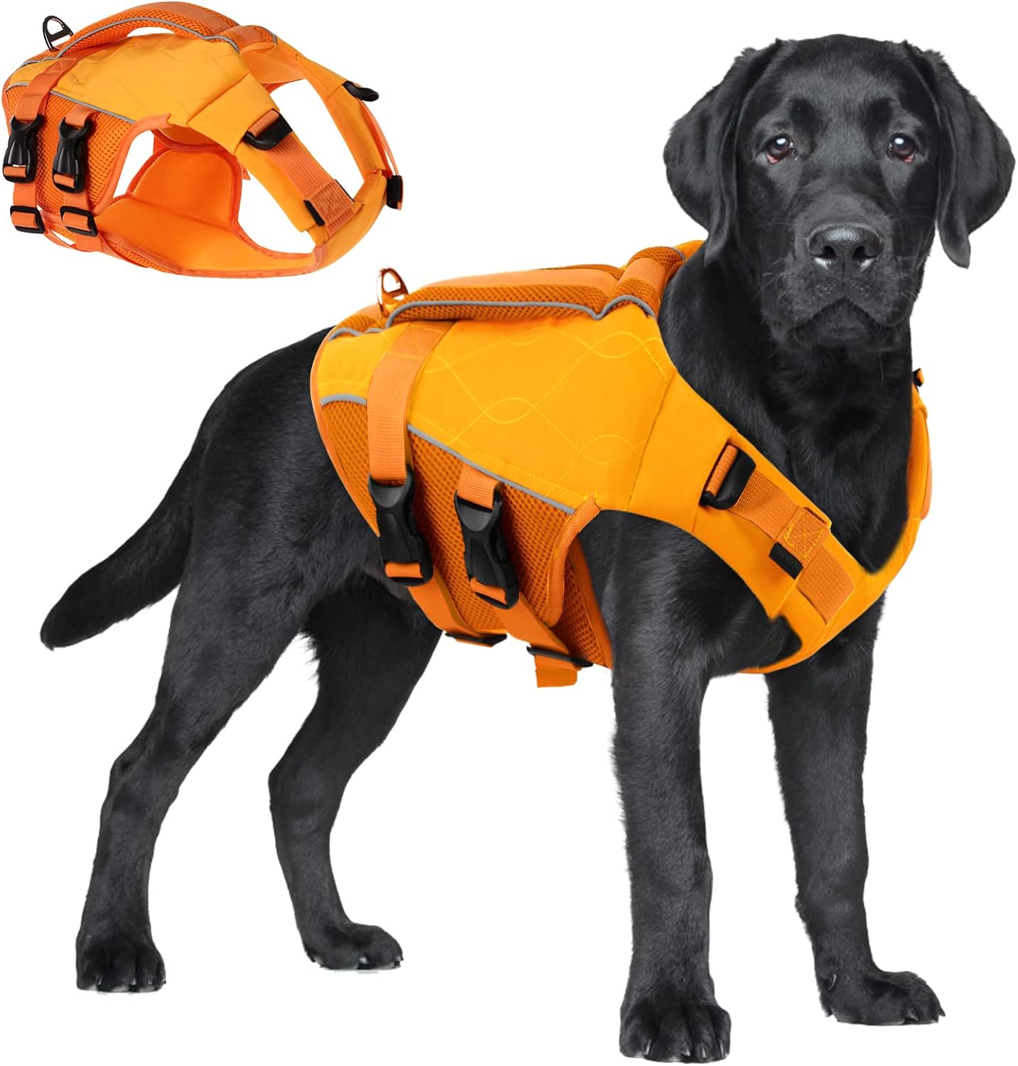 Gilet de Sauvetage pour Chien - Haute Flottabilité - Bandes Réfléchissantes