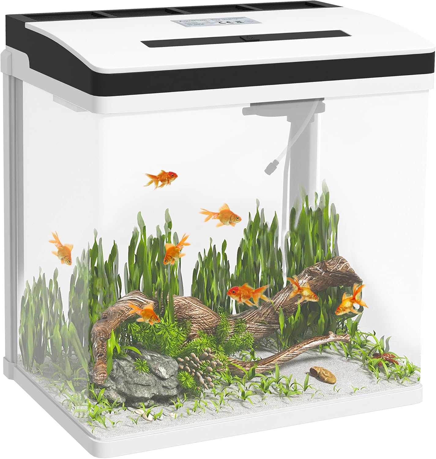 Aquarium en Verre - Filtre Intégré - Éclairage LED Multicolore