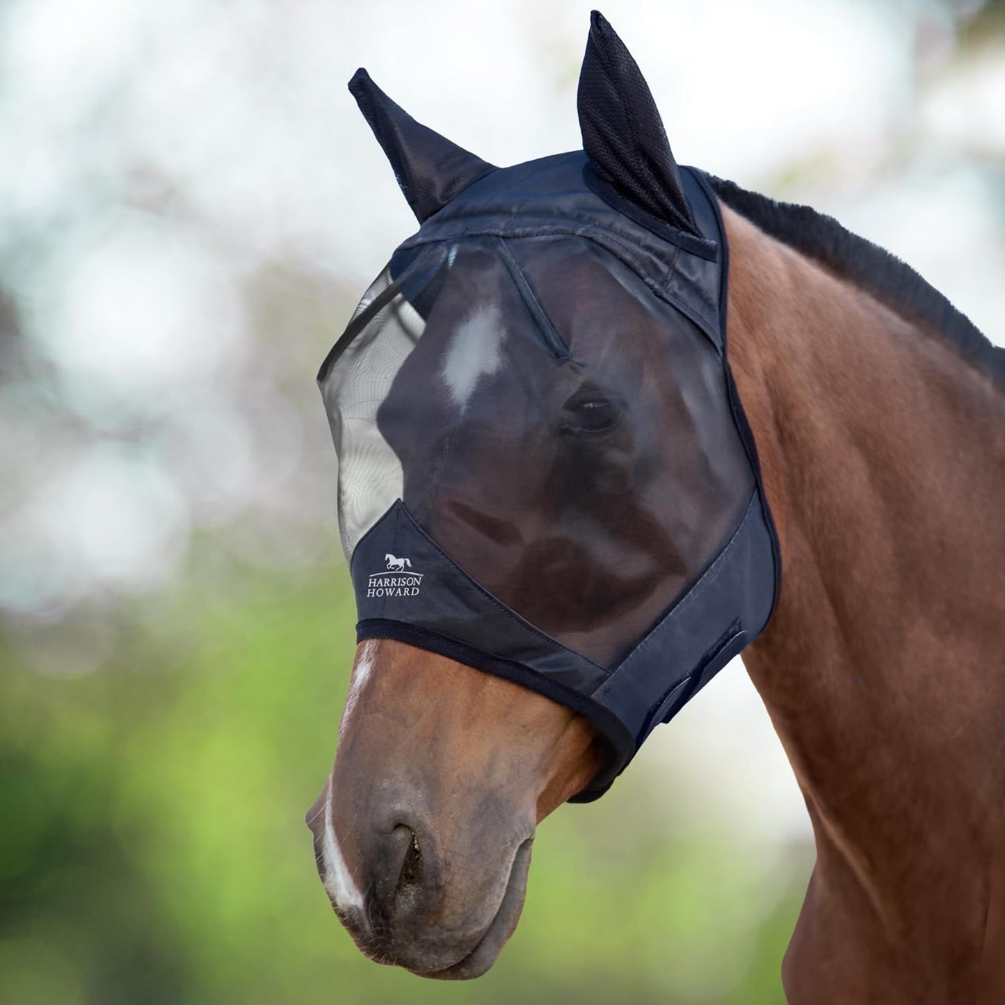 Masque Anti-Mouches - Protection Anti-UV - Oreilles Noir Poney (S)