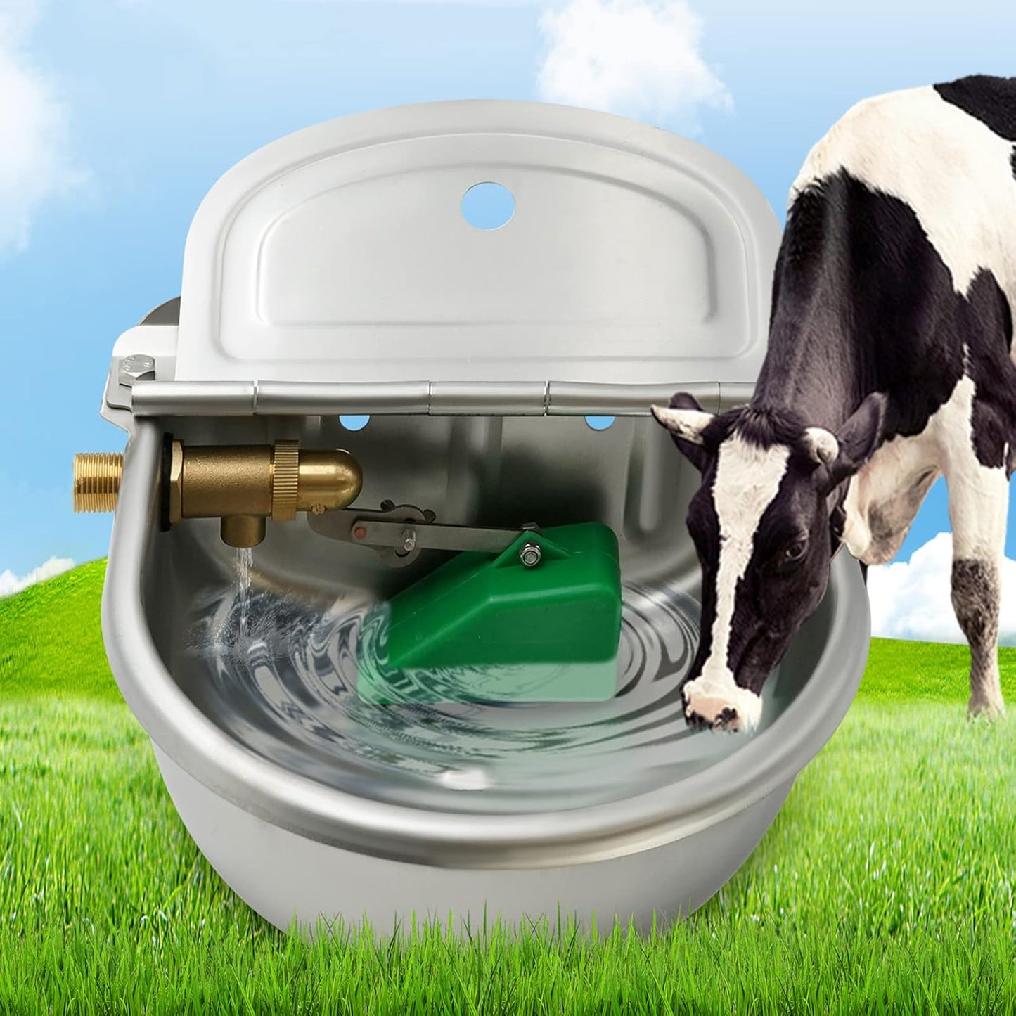 Abreuvoir Automatique - Acier Inoxydable - Vanne Flottante en Laiton