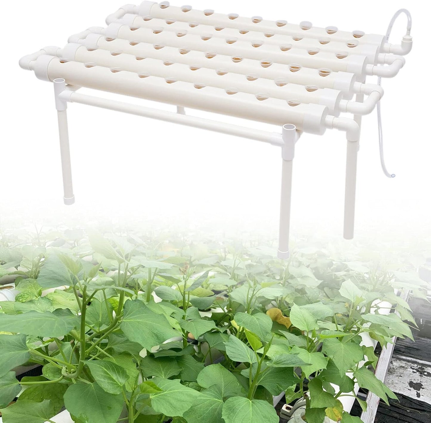Kit Hydroponique - 54 Sites de Plantation - Système d'Irrigation en PVC
