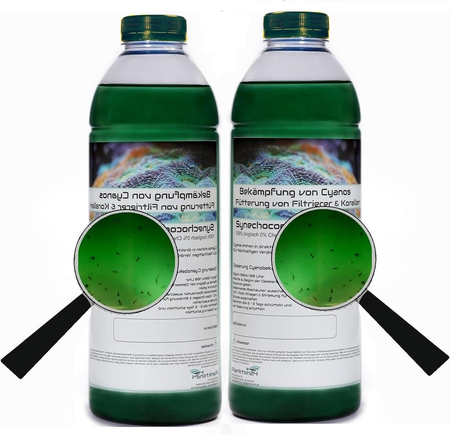 PhytoPlankton Cyano - Soin et Alimentation - Qualité de l'Eau