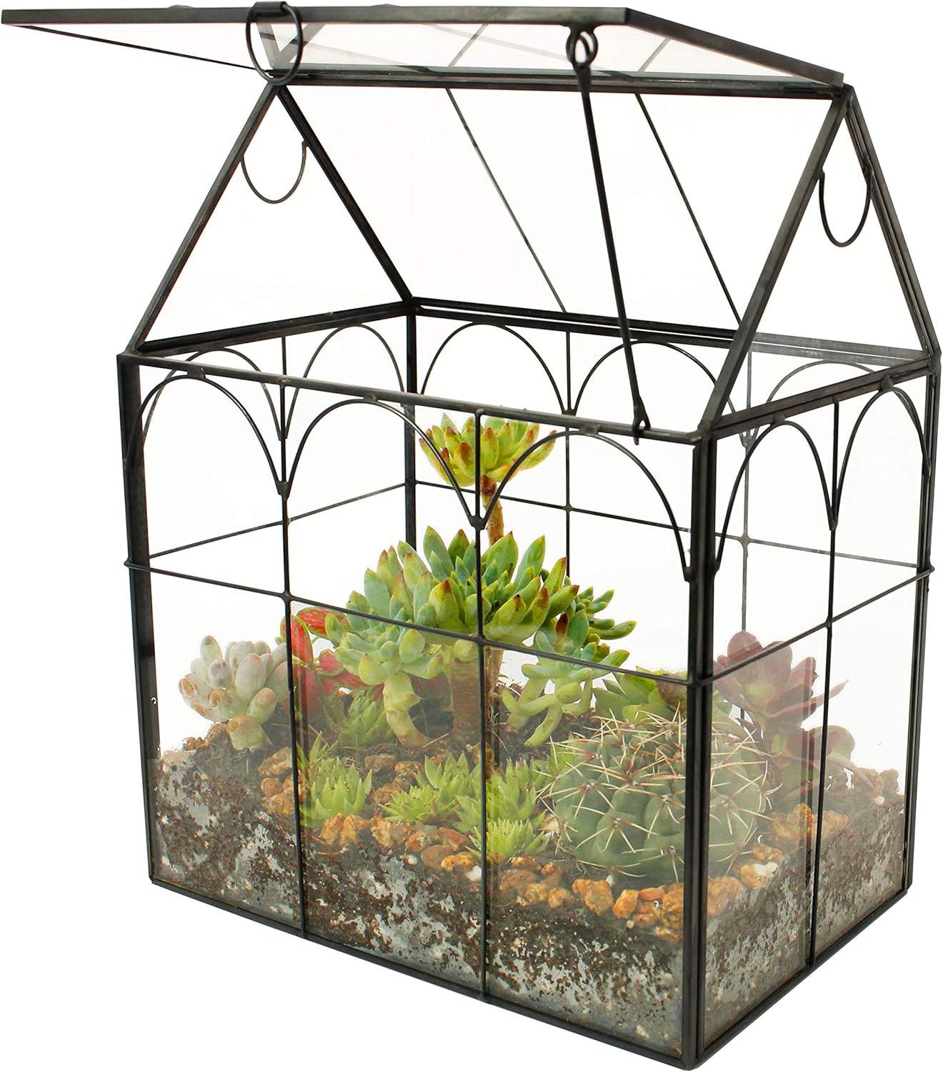 Terrarium Maison en Verre - Couvercle Pivotant - Pour Plantes Aériennes