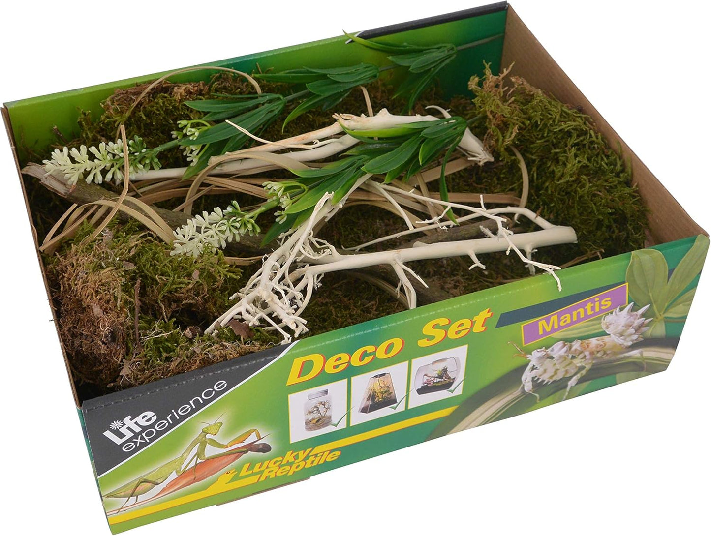Kit de Décoration - Nano Terrarium - Spécial Mantes Religieuses
