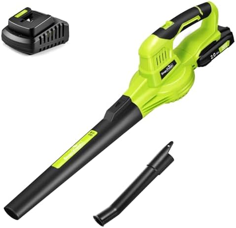 SnapFresh Souffleur de Feuilles sans Fil YOR-YFT01-20V, 20V, 210 km/h, 1,2kg