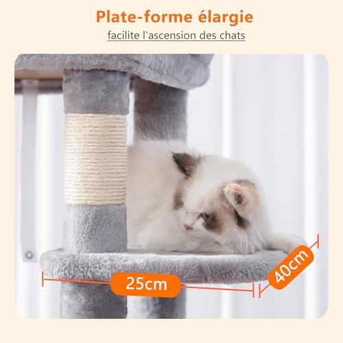 Arbre à Chat XXL 152 cm pour Gros Chats, Gris Clair, Multi-Niveaux