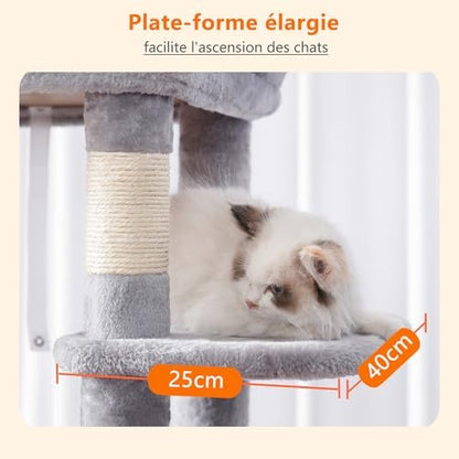 Arbre à Chat XXL 152 cm pour Gros Chats, Gris Clair, Multi-Niveaux