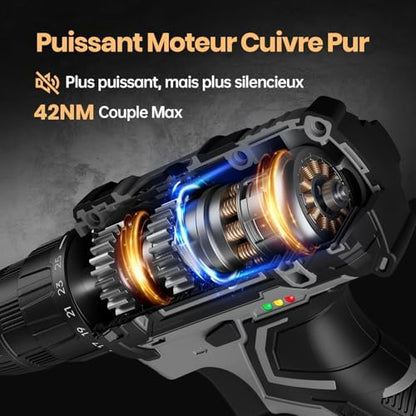 VIWKO Perceuse Visseuse Sans Fil 20V, 2 Batteries 2000mAh, 42Nm, 89 Accessoires