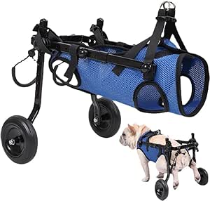 Fauteuil Roulant pour Chien - Léger et Réglable - Taille M