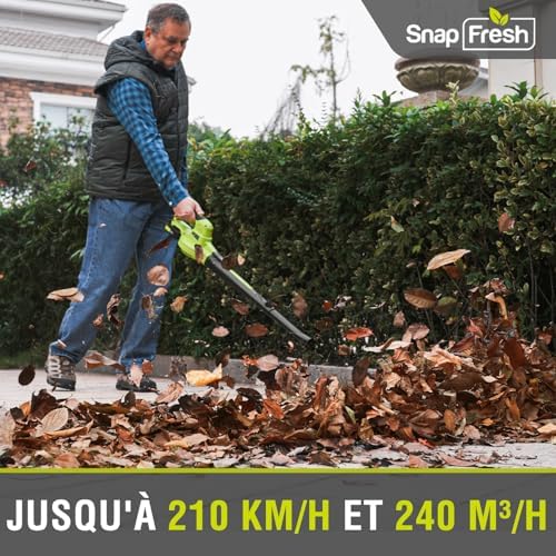 SnapFresh Souffleur de Feuilles sans Fil YOR-YFT01-20V, 20V, 210 km/h, 1,2kg