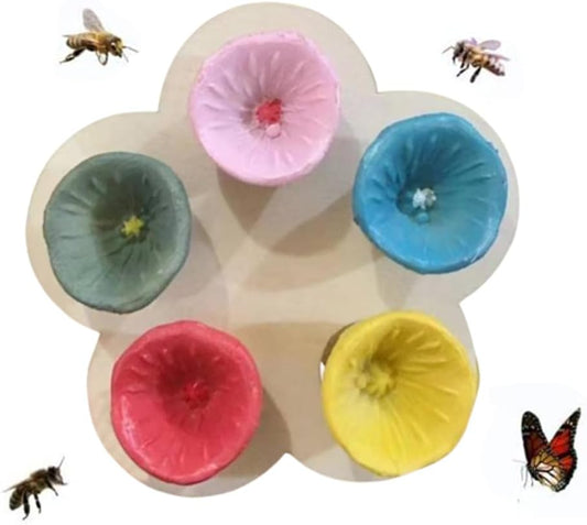 Abreuvoir à Insectes - Fleurs Multicolores - Disques en Bois Inclus