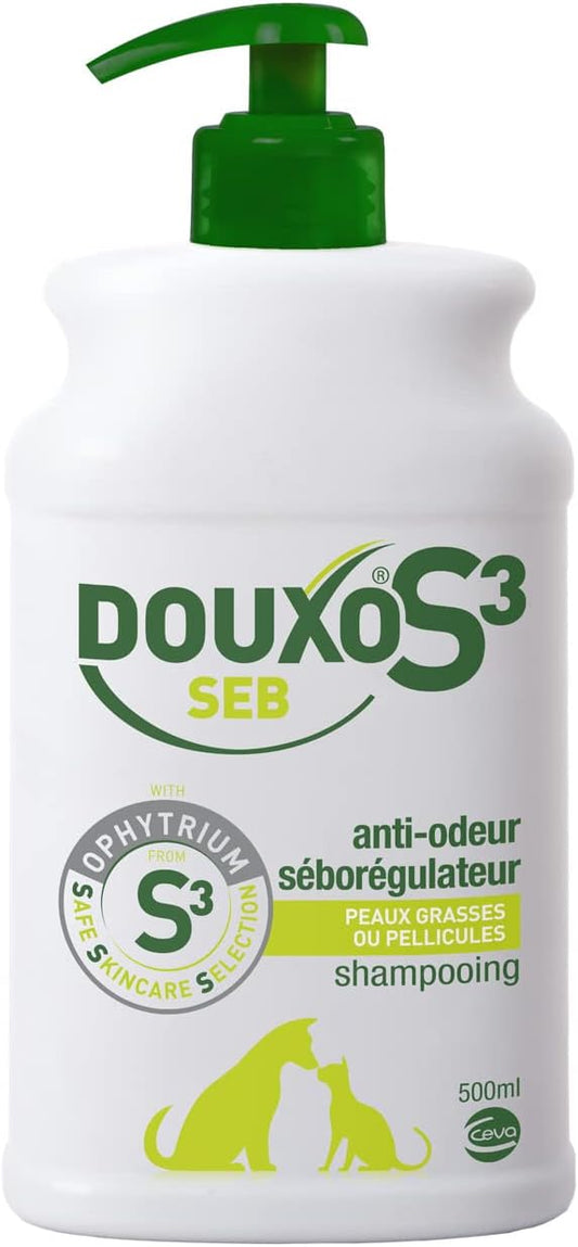 Shampooing Anti-Odeur - Réduit Pellicules - Hydrate Peau, 500ml