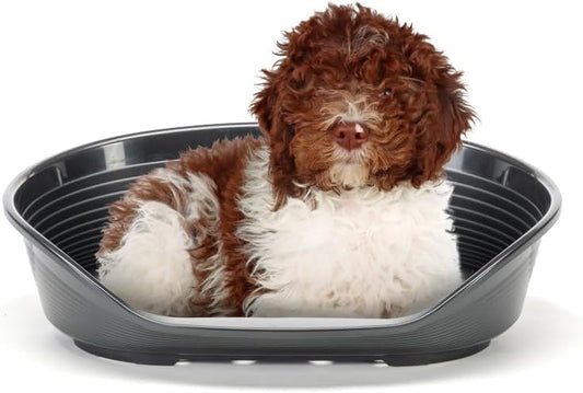 Panier pour Chiens et Chats - Plastique Respirant - Antidérapant