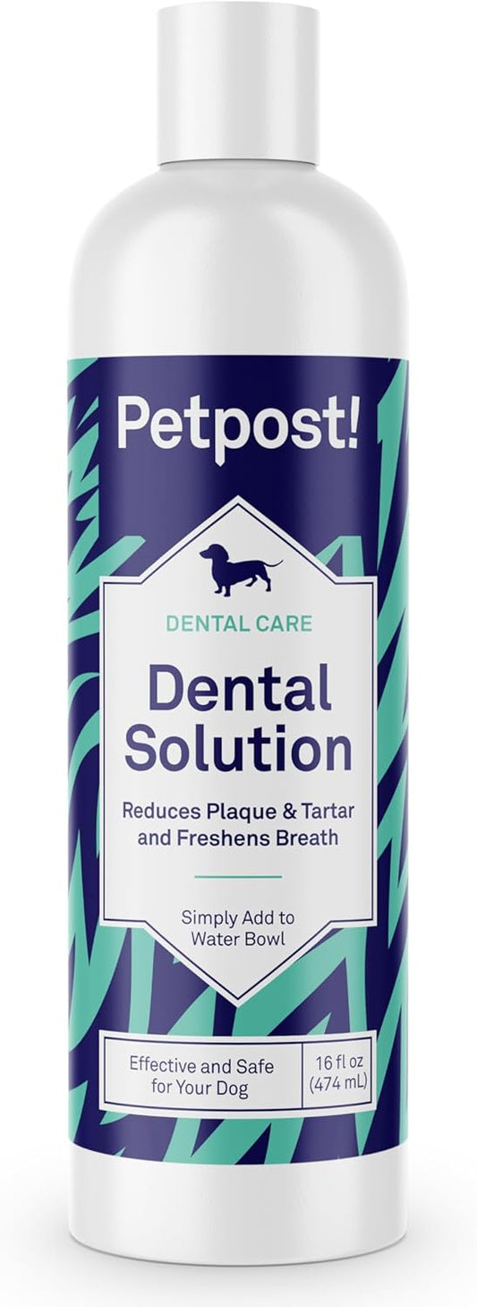 Solution Dentaire pour Chiens - Anti-Mauvaise Haleine - Réduction de Plaque