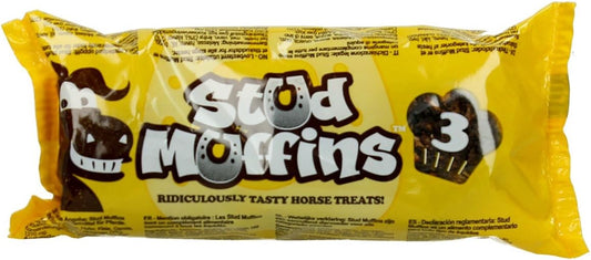 Friandises pour Cheval - Fait Main - Ingrédients Savoureux