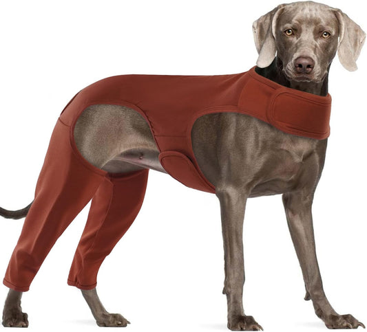 Combinaison de Convalescence pour Chien - Protection Post-Opératoire - Anti Léchage